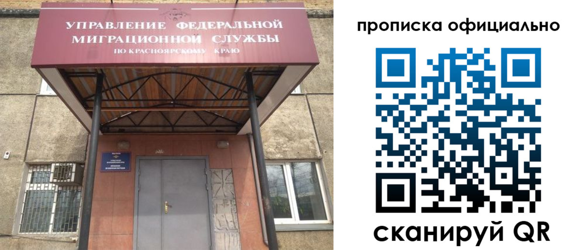 прописка поиск в Петушках